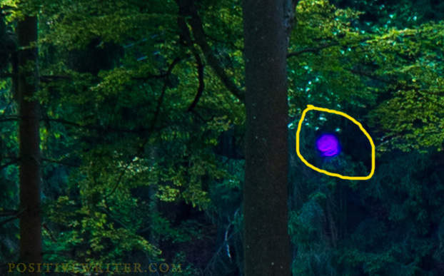 Verified Evidence of the Paranormal in the Haunted Forest (Part 2)